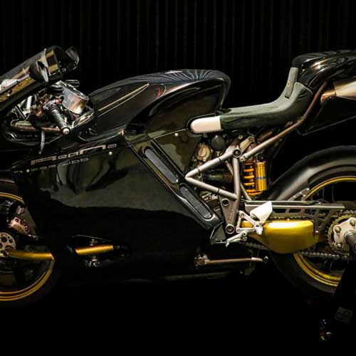 renna-996-jbb-profil-gauche-1-2024